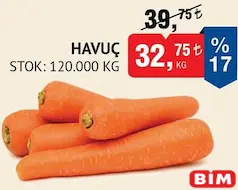 HAVUÇ KG HAVUÇ KG